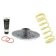 Corector de cuplu Malossi TORQUE DRIVER Honda Forza 250 6111964