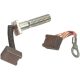 Starter Brush 2Pk