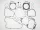 Set complet garnituri motor Tecnium Honda CRF 450 R 808284HC