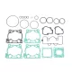 Set garnituri chiulasă (top end) Tecnium KTM 125 SX/150 SX și altele 810370