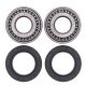 Kit rulmenti si garnituri roata All Balls Racing WB25-1001