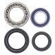 Kit rulmenti si garnituri roata All Balls Racing WB25-1012