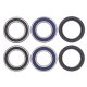 Kit rulmenti si garnituri roata All Balls Racing WB25-1019