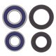 Kit rulmenti si garnituri roata All Balls Racing WB25-1035