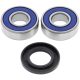 Kit rulmenti si garnituri roata All Balls Racing WB25-1038