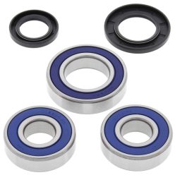 Kit rulmenti si garnituri roata All Balls Racing WB25-1110