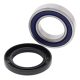 Kit rulmenti si garnituri roata All Balls Racing WB25-1118