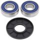 Kit rulmenti si garnituri roata All Balls Racing WB25-1119