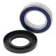Kit rulmenti si garnituri roata All Balls Racing WB25-1149