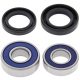Kit rulmenti si garnituri roata All Balls Racing WB25-1160