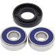 Kit rulmenti si garnituri roata All Balls Racing WB25-1173