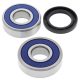 Kit rulmenti si garnituri roata All Balls Racing WB25-1237