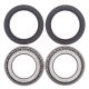 Kit rulmenti si garnituri roata All Balls Racing WB25-1432