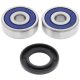 Kit rulmenti si garnituri roata All Balls Racing WB25-1441