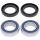 Kit rulmenti si garnituri roata All Balls Racing WB25-1569