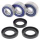Kit rulmenti si garnituri roata All Balls Racing WB25-1605