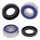 Kit rulmenti si garnituri roata All Balls Racing WB25-1611