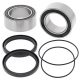 Kit rulmenti si garnituri roata All Balls Racing WB25-1619 upgrade