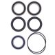 Kit rulmenti si garnituri roata All Balls Racing WB25-1620 upgrade