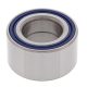 Wheel Bearing Kit All Balls Racing WB25-1734