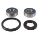 Wheel Bearing Kit All Balls Racing WB25-1743