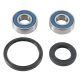 Wheel Bearing Kit All Balls Racing WB25-1744