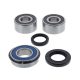 Wheel Bearing Kit All Balls Racing WB25-1756 spate