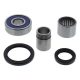 Wheel Bearing Kit All Balls Racing WB25-1766 spate
