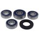 Wheel Bearing Kit All Balls Racing WB25-1771 spate