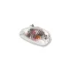 Semnalizator față dreapta V Parts Gilera Storm Euro2 50 9329