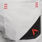 Pantaloni Adrenaline Meshtec 2.0 PPE gri