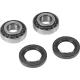Kit rulment roată Drag Specialties 25-1001