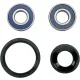Kit rulment roată Moose Offroad 25-1069