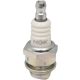 SPARK PLUG NGK