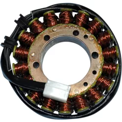 Stator RICK'S MOTORSPORT ELECTRIC 21-104