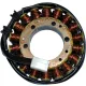 Stator RICK'S MOTORSPORT ELECTRIC 21-104