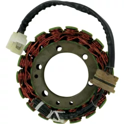 Stator RICK'S MOTORSPORT ELECTRIC 21-102