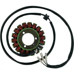 Stator RICK'S MOTORSPORT ELECTRIC 21-303