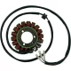 Stator RICK'S MOTORSPORT ELECTRIC 21-303