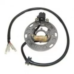 Stator Electrosport ESC1357 Kawasaki KX125