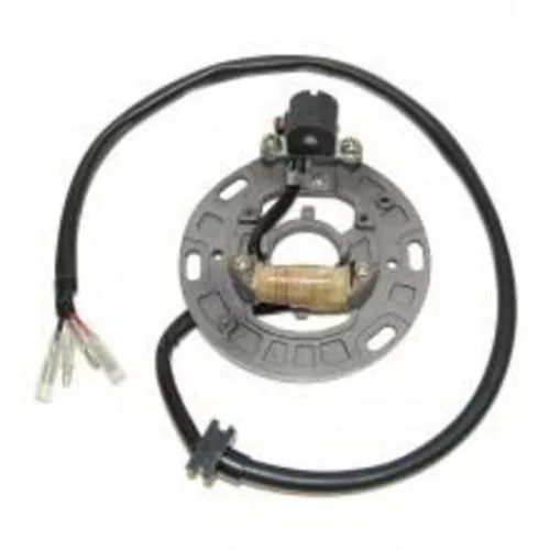 Stator Electrosport ESC1357 Kawasaki KX125
