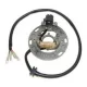 Stator Electrosport ESC1357 Kawasaki KX125