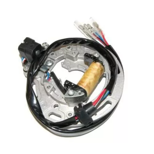 Stator Electrosport ESC1361 Kawasaki