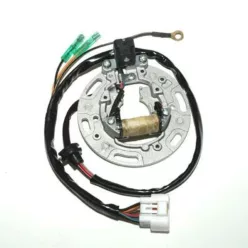 Stator Electrosport ESC1366 Kawasaki