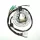 Stator Electrosport ESC1366 Kawasaki