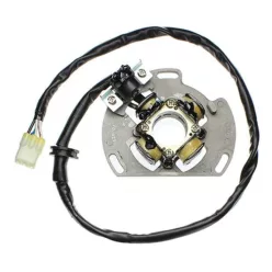 Stator Electrosport ESC221 KTM