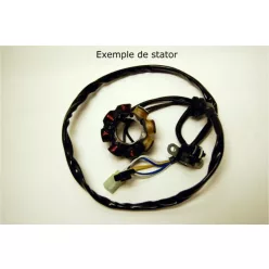 Stator Electrosport ESC462 Suzuki RM125/250