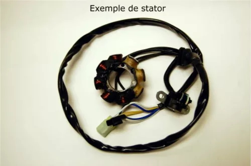 Stator Electrosport ESC462 Suzuki RM125/250
