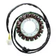 Stator Electrosport ESG023