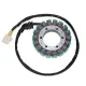 Stator Electrosport ESG071 Honda CBR900RR